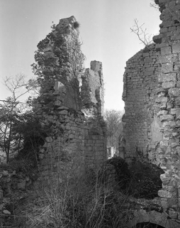 Vue du logis à l'extrémité ouest de l'éperon. © Région Bourgogne-Franche-Comté, Inventaire du patrimoine
