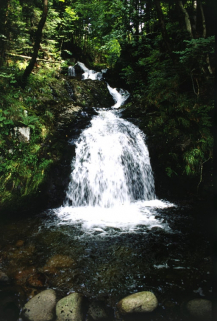 Chute en amont sur la Savoureuse. © Région Bourgogne-Franche-Comté, Inventaire du patrimoine