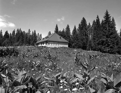 Vue générale du chalet d'estive du Petit Boulu. © Région Bourgogne-Franche-Comté, Inventaire du patrimoine Vue générale du chalet d'estive du Petit Boulu. © Région Bourgogne-Franche-Comté, Inventaire du patrimoine