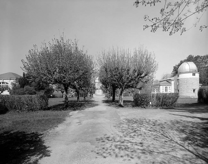 Partie nord : vue d'ensemble de l'allée centrale, depuis l'entrée au sud. Allée de tilleuls de Hollande. © Région Bourgogne-Franche-Comté, Inventaire du patrimoine