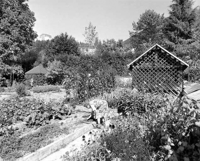 Jardin et fabrique de treillage. © Région Bourgogne-Franche-Comté, Inventaire du patrimoine Jardin et fabrique de treillage. © Région Bourgogne-Franche-Comté, Inventaire du patrimoine