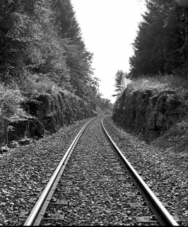 Vers-en-Montagne : tranchée proche de la maison de garde-barrière n° 1. Tranchée au PK 005.050. © Région Bourgogne-Franche-Comté, Inventaire du patrimoine Vers-en-Montagne : tranchée proche de la maison de garde-barrière n° 1. Tranchée au PK 005.050. © Région Bourgogne-Franche-Comté, Inventaire du patrimoine