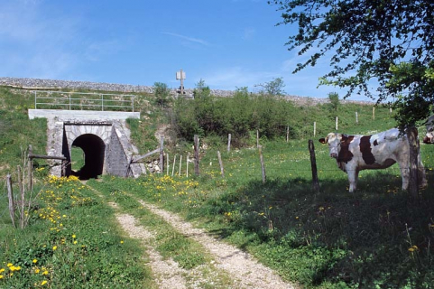 Vue d'ensemble de trois quarts, depuis l'est. © Région Bourgogne-Franche-Comté, Inventaire du patrimoine Vue d'ensemble de trois quarts, depuis l'est. © Région Bourgogne-Franche-Comté, Inventaire du patrimoine