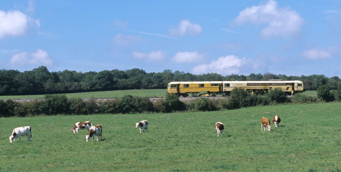 La voie entre Andelot-en-Montagne et Champagnole. Train de meulage, sur la commune du Pasquier. © Région Bourgogne-Franche-Comté, Inventaire du patrimoine