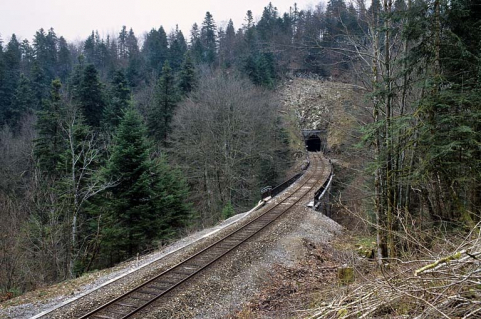 Vue d'ensemble, depuis le nord-ouest (côté Andelot-en-Montagne). © Région Bourgogne-Franche-Comté, Inventaire du patrimoine