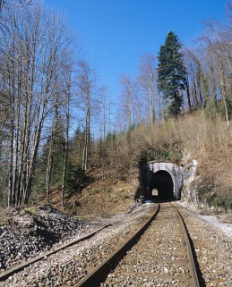 Tunnel des Bataillards : vue d'ensemble rapprochée de la tête côté Andelot-en-Montagne (est). © Région Bourgogne-Franche-Comté, Inventaire du patrimoine