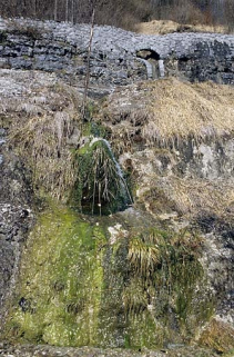 Ecoulement à gauche de la voie, à proximité de la descente d'eau. © Région Bourgogne-Franche-Comté, Inventaire du patrimoine Ecoulement à gauche de la voie, à proximité de la descente d'eau. © Région Bourgogne-Franche-Comté, Inventaire du patrimoine