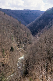 La vallée de la Bienne, depuis le viaduc de la Culée et l'entrée du tunnel de la Gouille aux Cerfs (Lézat). © Région Bourgogne-Franche-Comté, Inventaire du patrimoine