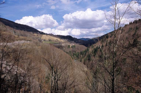 Voie ferrée dans la zone Tancua - Lézat : implantation dans la vallée de la Bienne. PK 052.000 à 058.000. © Région Bourgogne-Franche-Comté, Inventaire du patrimoine Voie ferrée dans la zone Tancua - Lézat : implantation dans la vallée de la Bienne. PK 052.000 à 058.000. © Région Bourgogne-Franche-Comté, Inventaire du patrimoine
