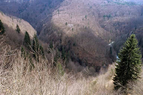 Voie ferrée dans la zone Tancua - Lézat : méandre de la Bienne en contrebas du tunnel de la Gouille aux Cerfs (vers le PK 057.000). © Région Bourgogne-Franche-Comté, Inventaire du patrimoine Voie ferrée dans la zone Tancua - Lézat : méandre de la Bienne en contrebas du tunnel de la Gouille aux Cerfs (vers le PK 057.000). © Région Bourgogne-Franche-Comté, Inventaire du patrimoine