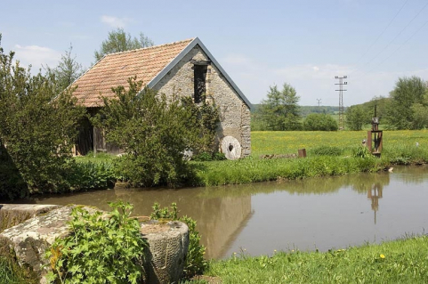 Bief d'amenée et moulin à huile. © Région Bourgogne-Franche-Comté, Inventaire du patrimoine
