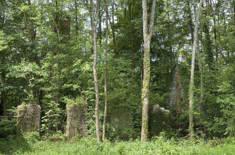 Vestiges de l'atelier de papeterie envahis par la végétation. © Région Bourgogne-Franche-Comté, Inventaire du patrimoine