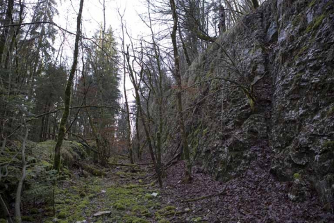 Tranchée du premier tracé abandonnée, rive gauche de l'Ain, à proximité du viaduc de Syam (commune de Cize). © Région Bourgogne-Franche-Comté, Inventaire du patrimoine Tranchée du premier tracé abandonnée, rive gauche de l'Ain, à proximité du viaduc de Syam (commune de Cize). © Région Bourgogne-Franche-Comté, Inventaire du patrimoine