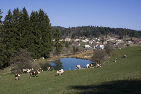 Réservoir : vue d'ensemble, depuis l'est. © Région Bourgogne-Franche-Comté, Inventaire du patrimoine