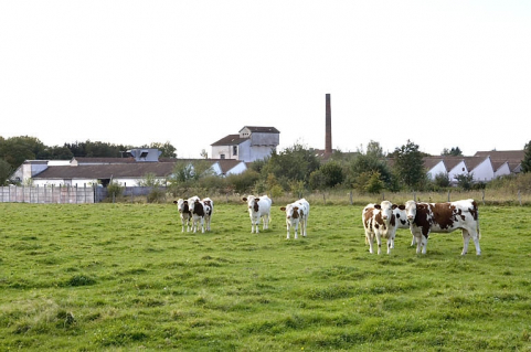 Vue d'ensemble depuis l'est. © Région Bourgogne-Franche-Comté, Inventaire du patrimoine Vue d'ensemble depuis l'est. © Région Bourgogne-Franche-Comté, Inventaire du patrimoine