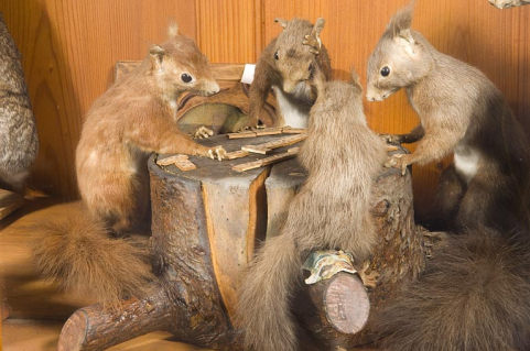 musée © Région Bourgogne-Franche-Comté, Inventaire du patrimoine