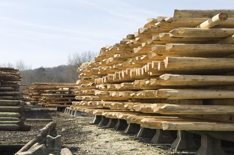 Aire de stockage des poteaux en cours de fabrication. © Région Bourgogne-Franche-Comté, Inventaire du patrimoine