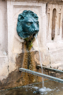 Tête de lion ornant la borne fontaine, vue de trois quart. © Région Bourgogne-Franche-Comté, Inventaire du patrimoine