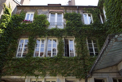 Façade postérieure du logis principal : détail de la partie supérieure. © Région Bourgogne-Franche-Comté, Inventaire du Patrimoine