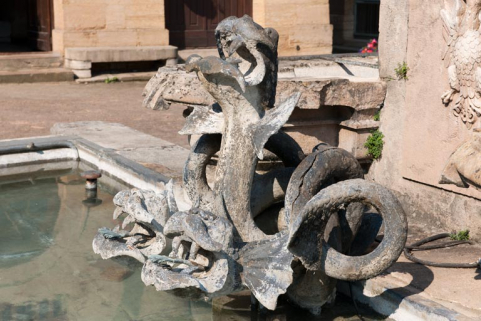 Vue de deux hydres. © Région Bourgogne-Franche-Comté, Inventaire du patrimoine