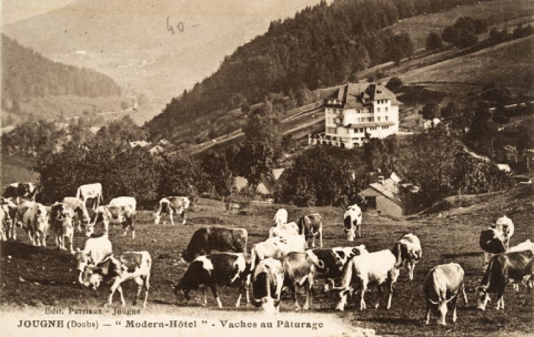 Jougne (Doubs)-"Modern-Hôtel"-Vaches au Paturâge. © Région Bourgogne-Franche-Comté, Inventaire du patrimoine