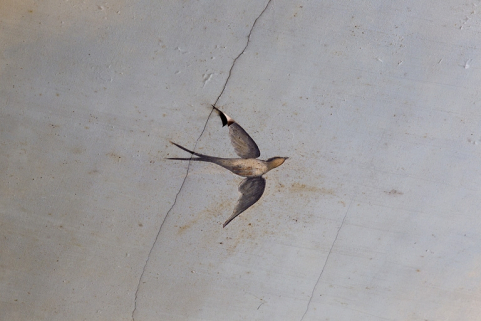 Logis principal, intérieur : plafond de la cage d'escalier, détail d'une hirondelle. © Région Bourgogne-Franche-Comté, Inventaire du Patrimoine