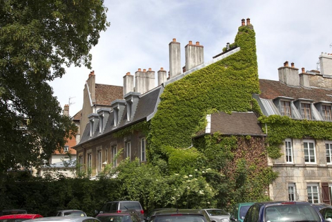 Vue du logis principal depuis la parcelle voisine, de trois quarts droit. © Région Bourgogne-Franche-Comté, Inventaire du Patrimoine