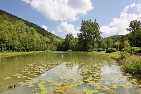 Etang de la Chapotte. © Région Bourgogne-Franche-Comté, Inventaire du patrimoine