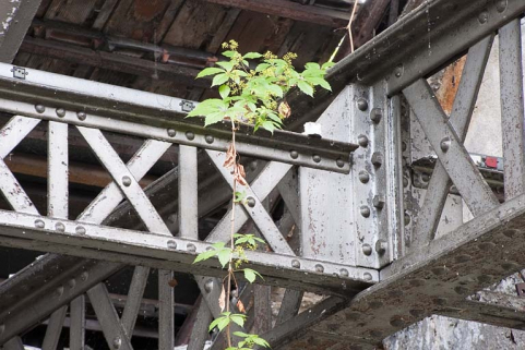 Détail de poutrelles à treillis. © Région Bourgogne-Franche-Comté, Inventaire du patrimoine