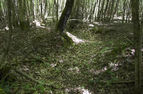 Camp militaire du bois des Balières : un exemple de tranchée. © Région Bourgogne-Franche-Comté, Inventaire du patrimoine Camp militaire du bois des Balières : un exemple de tranchée. © Région Bourgogne-Franche-Comté, Inventaire du patrimoine