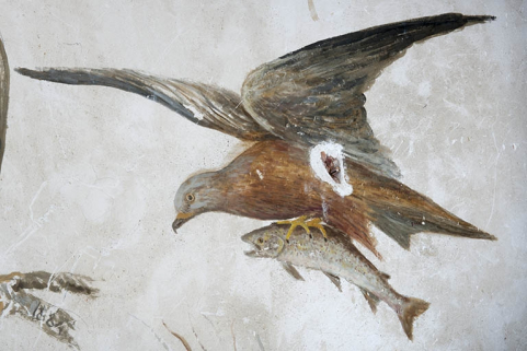 Détail des représentations d'oiseaux exécutées dans la cage de l'escalier menant au grenier : milan noir apportant un poisson. © Région Bourgogne-Franche-Comté, Inventaire du patrimoine