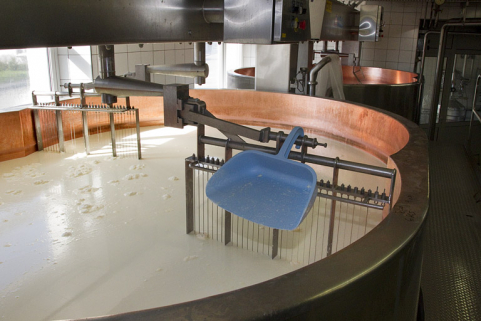 Fabrication du comté : deuxième cuve, avec tranche-caillé et pelle. © Région Bourgogne-Franche-Comté, Inventaire du patrimoine