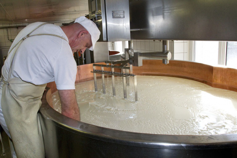 Fabrication du comté : examen du tranchage du caillé dans la deuxième cuve. © Région Bourgogne-Franche-Comté, Inventaire du patrimoine