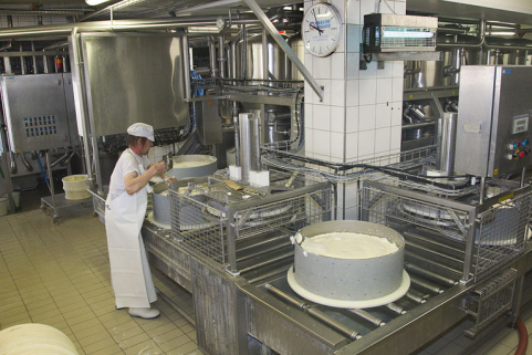Fabrication du comté : enlèvement de l'écume du moule rempli de caillé et mise en place de la plaque de caséine. © Région Bourgogne-Franche-Comté, Inventaire du patrimoine