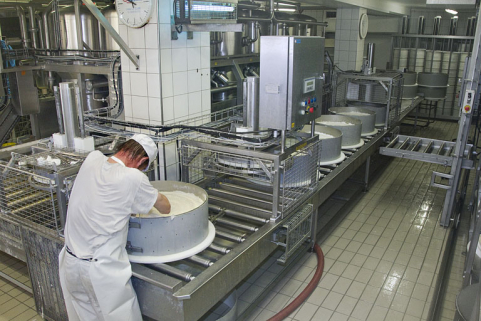 Fabrication du comté : enlèvement de l'écume du moule rempli de caillé et mise en place de la plaque de caséine. © Région Bourgogne-Franche-Comté, Inventaire du patrimoine