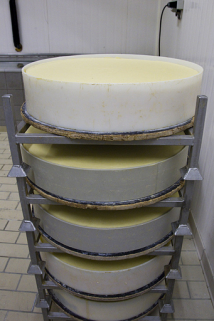 Fabrication du comté : meules prêtes à être transférées en cave d'affinage. © Région Bourgogne-Franche-Comté, Inventaire du patrimoine