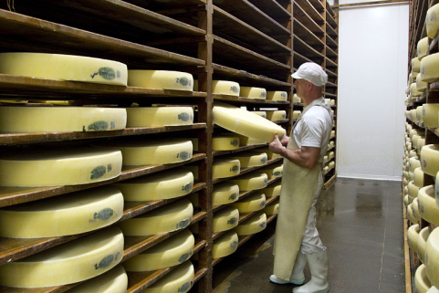 Fabrication du comté : retournement manuel d'une meule en cave d'affinage. © Région Bourgogne-Franche-Comté, Inventaire du patrimoine