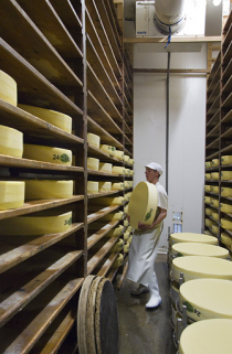 Fabrication du comté : mise en place des meules en cave d'affinage. © Région Bourgogne-Franche-Comté, Inventaire du patrimoine