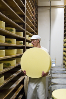 Fabrication du comté : mise en place d'une meule en cave d'affinage. © Région Bourgogne-Franche-Comté, Inventaire du patrimoine