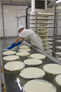 Fabrication du morbier : trempage des meules dans la saumure. © Région Bourgogne-Franche-Comté, Inventaire du patrimoine