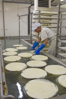 Fabrication du morbier : trempage des meules dans la saumure. © Région Bourgogne-Franche-Comté, Inventaire du patrimoine