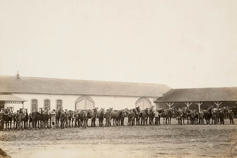 Chevaux de trait – La visite sanitaire. © Région Bourgogne-Franche-Comté, Inventaire du patrimoine