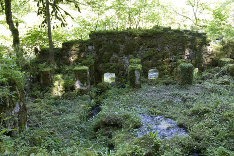 Site du Bief d'Etoz : mur en ruine de la scierie Pierre, donnant sur le Doubs. © Région Bourgogne-Franche-Comté, Inventaire du patrimoine Site du Bief d'Etoz : mur en ruine de la scierie Pierre, donnant sur le Doubs. © Région Bourgogne-Franche-Comté, Inventaire du patrimoine