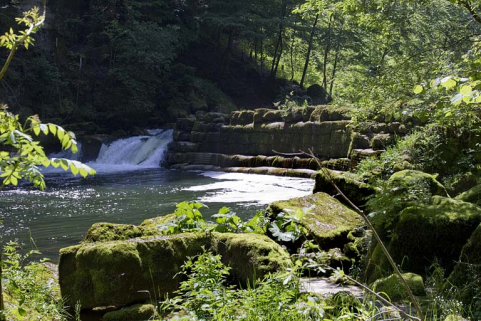 Site de l'ancien moulin Billod-Morel : le barrage vu depuis la rive droite. © Région Bourgogne-Franche-Comté, Inventaire du patrimoine Site de l'ancien moulin Billod-Morel : le barrage vu depuis la rive droite. © Région Bourgogne-Franche-Comté, Inventaire du patrimoine