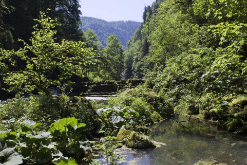 Site de l'ancien moulin Billod-Morel (commune de Villers-le-Lac) : vue d'ensemble depuis l'aval. © Région Bourgogne-Franche-Comté, Inventaire du patrimoine Site de l'ancien moulin Billod-Morel (commune de Villers-le-Lac) : vue d'ensemble depuis l'aval. © Région Bourgogne-Franche-Comté, Inventaire du patrimoine