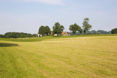 Vue d'ensemble, depuis l'est. © Région Bourgogne-Franche-Comté, Inventaire du patrimoine