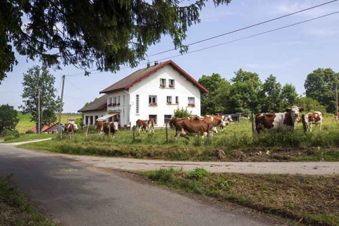 Vue d'ensemble, depuis le sud. © Région Bourgogne-Franche-Comté, Inventaire du patrimoine