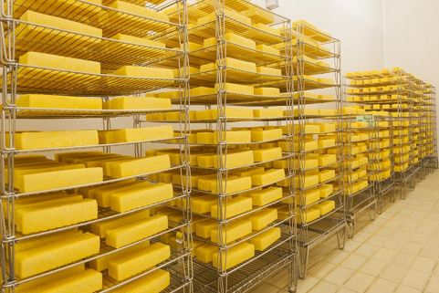 Espaces pédagogiques du hall des technologies laitières et agro-alimentaires. © Région Bourgogne-Franche-Comté, Inventaire du patrimoine