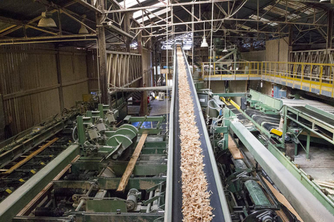 Ateliers de débitage (N et M) : machines de reprise et tapis roulant d'évacuation des sciures et des copeaux. © Région Bourgogne-Franche-Comté, Inventaire du patrimoine