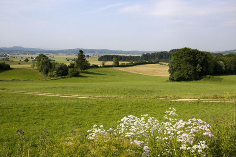 Paysage du plateau à Ferrières-le-Lac. © Région Bourgogne-Franche-Comté, Inventaire du patrimoine Paysage du plateau à Ferrières-le-Lac. © Région Bourgogne-Franche-Comté, Inventaire du patrimoine
